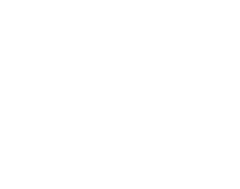 Orbis Group